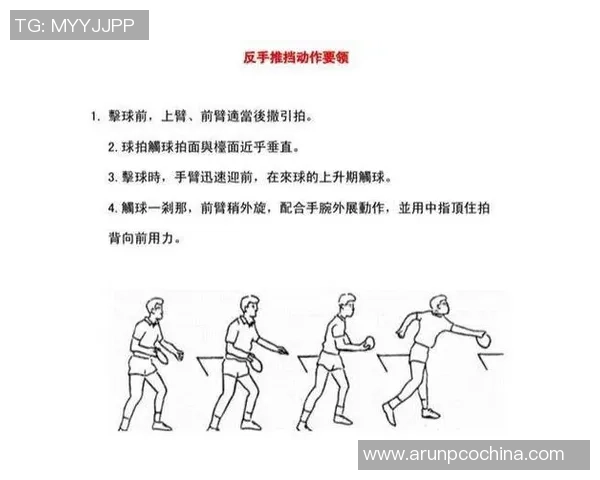从零开始掌握乒乓球技巧与战术全面指南助你成为乒乓球高手